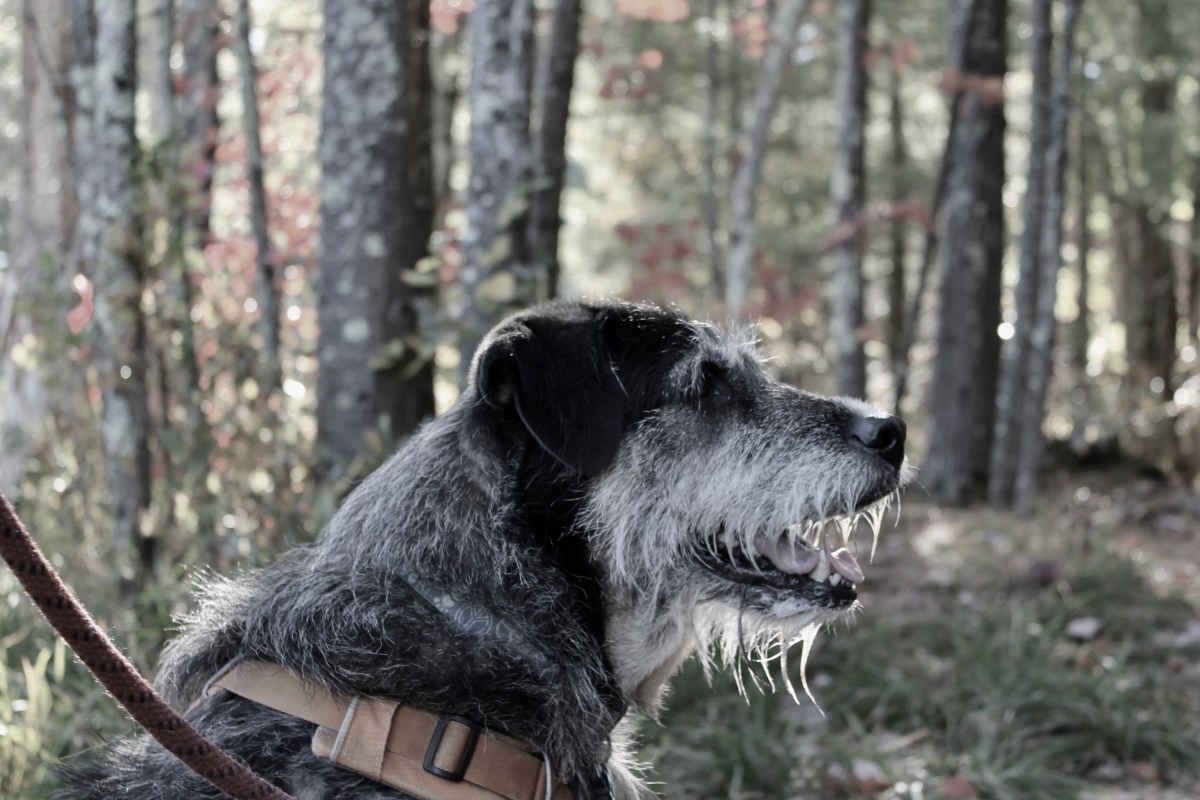 Summer, With A Little Bit of&nbsp;Normal